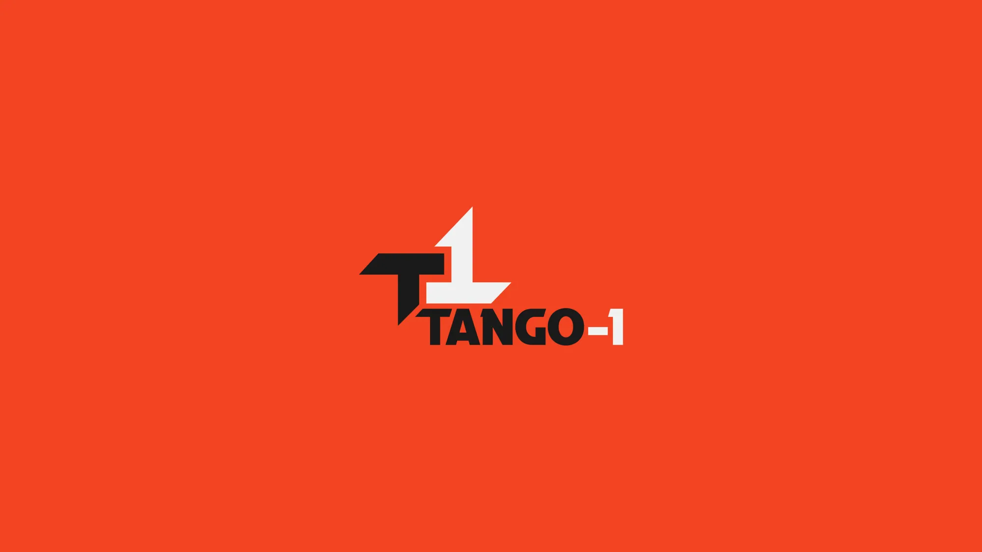 T1 — image 4