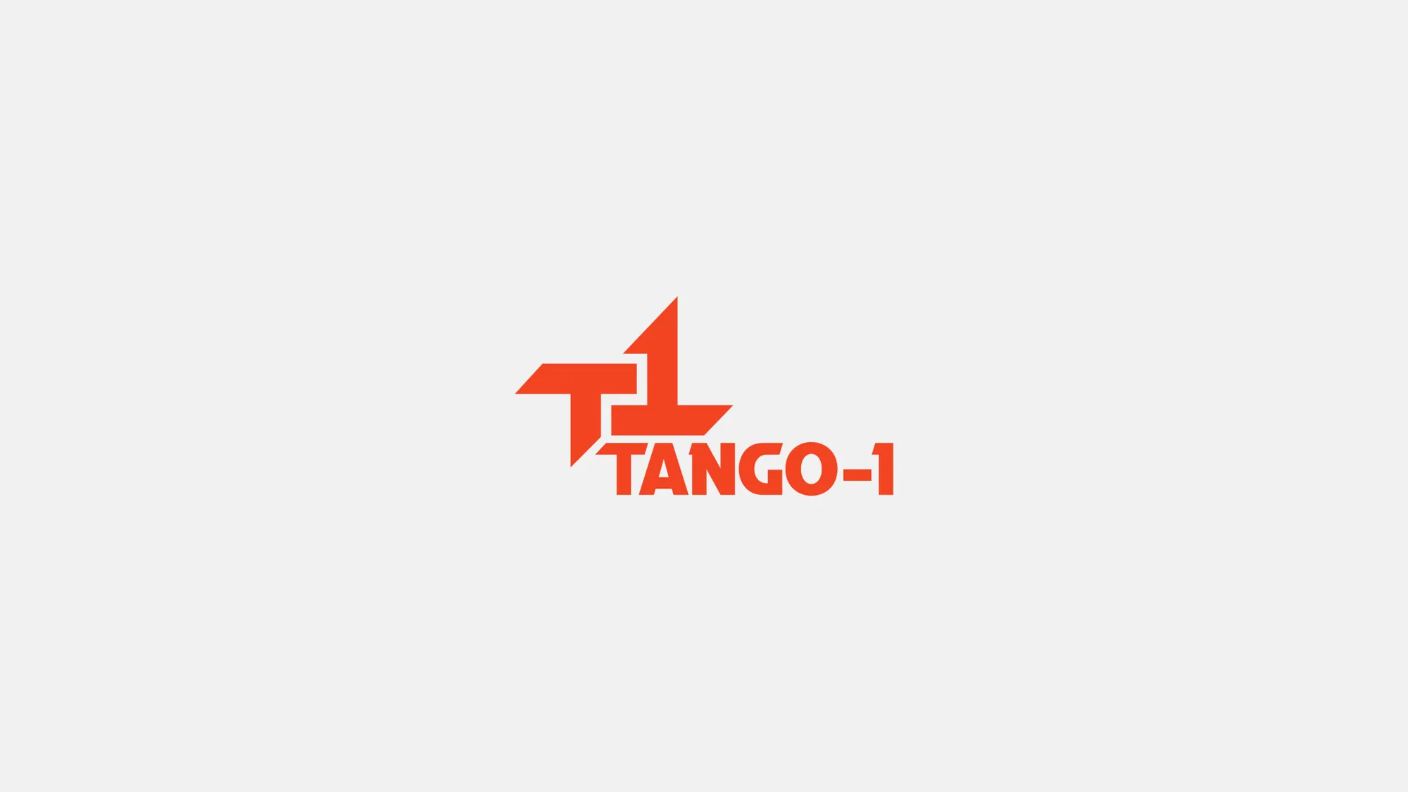 T1 — image 8